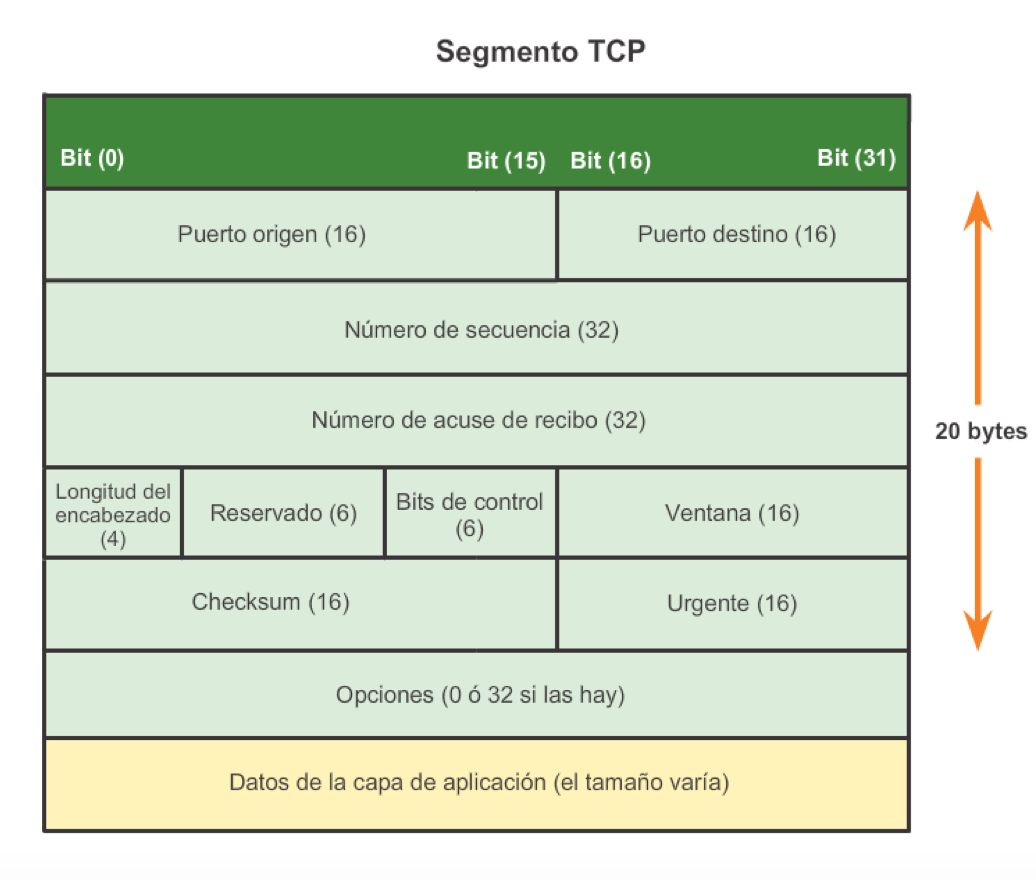 Работа tcp ip. TCP протокол структура. Структура сегмента TCP. Формат TCP сегмента. Заголовок сегмента TCP.